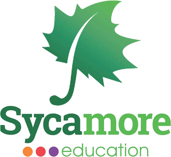 sycamore